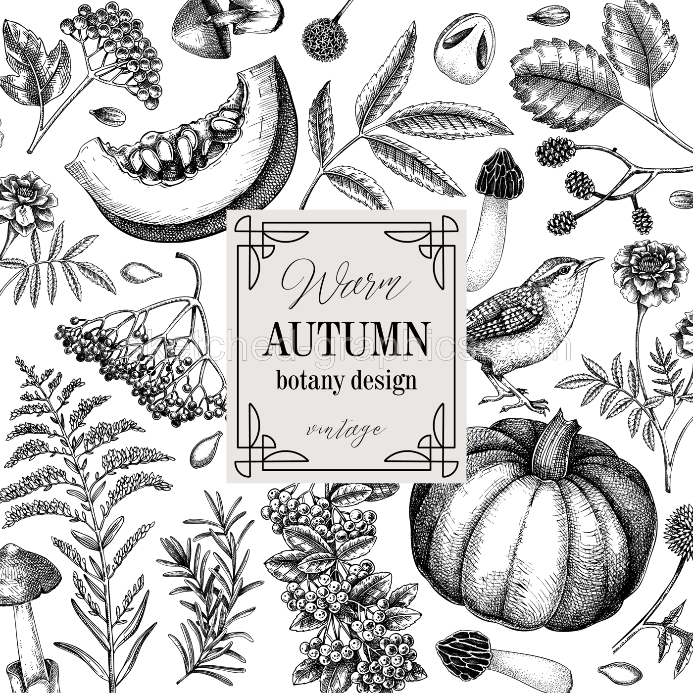 Vintage autumn frame design. Thanksgiving background. Fall leaves, pumpkins, berries, mushrooms sketches. Hand-drawn vector illustration. NOT AI generated Illustration
